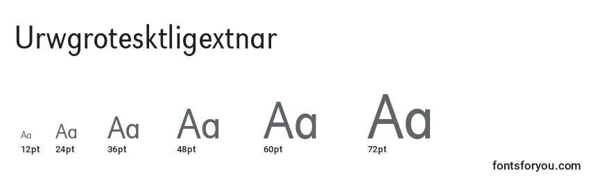 Размеры шрифта Urwgrotesktligextnar