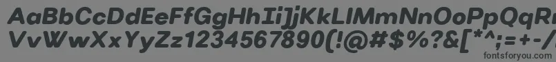 VillerayroundedUltrabolditalic Font – Black Fonts on Gray Background