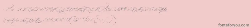 FontaineDeDiamant Font – Gray Fonts on Pink Background