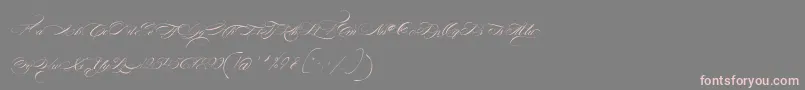 FontaineDeDiamant-Schriftart – Rosa Schriften auf grauem Hintergrund