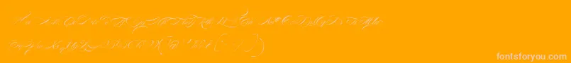 FontaineDeDiamant Font – Pink Fonts on Orange Background