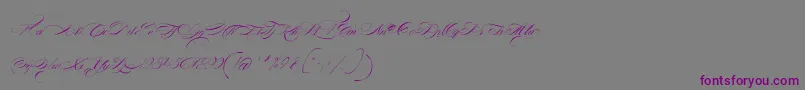 FontaineDeDiamant Font – Purple Fonts on Gray Background