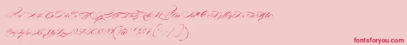 FontaineDeDiamant Font – Red Fonts on Pink Background