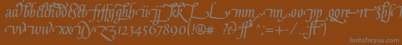 GaiusLtBoldLigatures-fontti – harmaat kirjasimet ruskealla taustalla