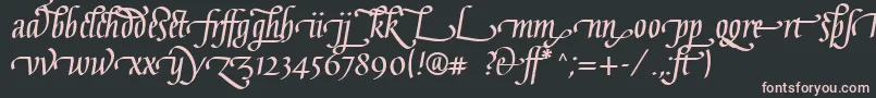 Шрифт GaiusLtBoldLigatures – розовые шрифты на чёрном фоне