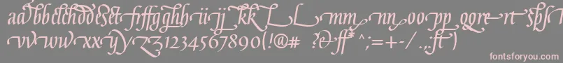 GaiusLtBoldLigatures-Schriftart – Rosa Schriften auf grauem Hintergrund