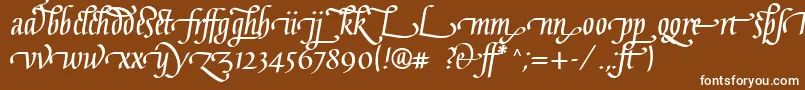 Шрифт GaiusLtBoldLigatures – белые шрифты на коричневом фоне