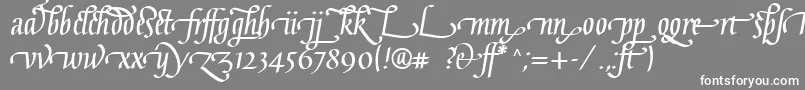 Шрифт GaiusLtBoldLigatures – белые шрифты на сером фоне