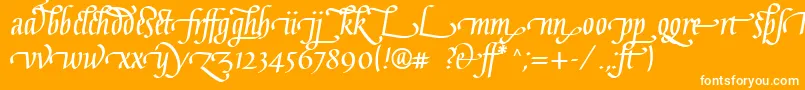 GaiusLtBoldLigatures Font – White Fonts on Orange Background
