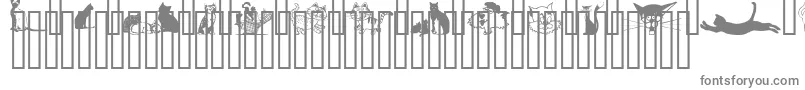CatsCsp-fontti – harmaat kirjasimet valkoisella taustalla