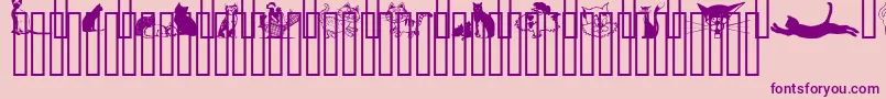 CatsCsp Font – Purple Fonts on Pink Background