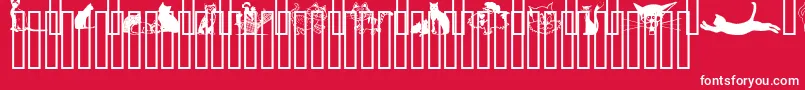 CatsCsp Font – White Fonts on Red Background