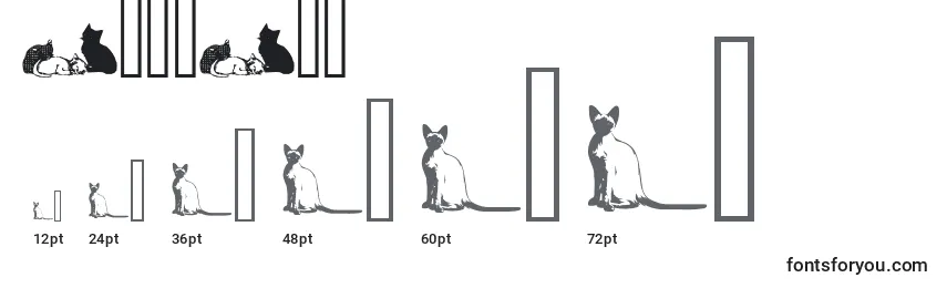 Размеры шрифта CatsCsp