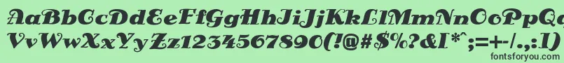 フォントDsSienaFett – 緑の背景に黒い文字
