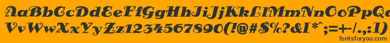 DsSienaFett Font – Black Fonts on Orange Background