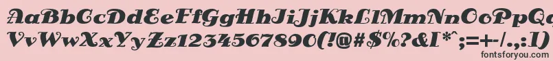 フォントDsSienaFett – ピンクの背景に黒い文字