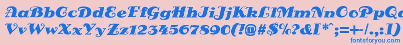 DsSienaFett Font – Blue Fonts on Pink Background