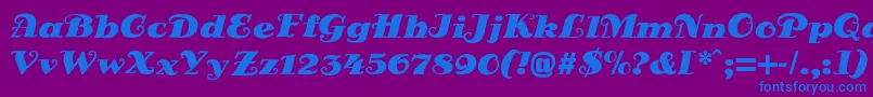 フォントDsSienaFett – 紫色の背景に青い文字