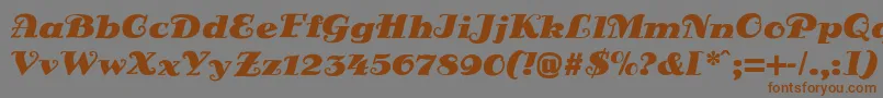 DsSienaFett Font – Brown Fonts on Gray Background