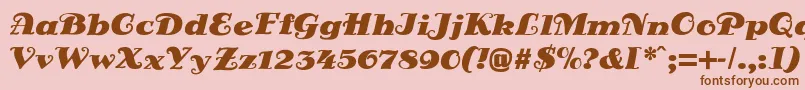 DsSienaFett Font – Brown Fonts on Pink Background