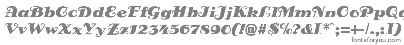 Шрифт DsSienaFett – серые шрифты