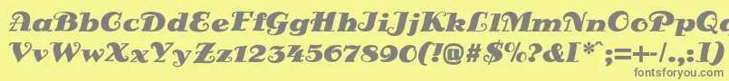 DsSienaFett-Schriftart – Graue Schriften auf gelbem Hintergrund