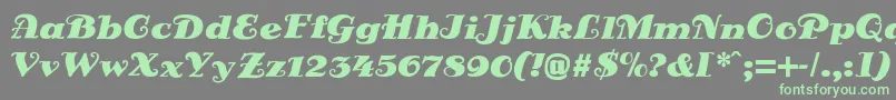 DsSienaFett Font – Green Fonts on Gray Background