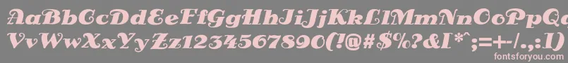 フォントDsSienaFett – 灰色の背景にピンクのフォント