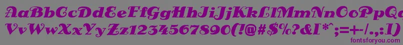 DsSienaFett-fontti – violetit fontit harmaalla taustalla