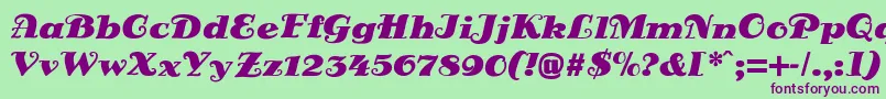 DsSienaFett Font – Purple Fonts on Green Background