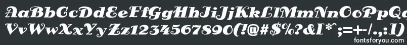 DsSienaFett-fontti – valkoiset fontit mustalla taustalla