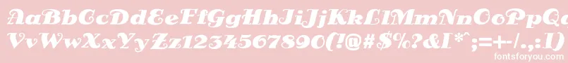 DsSienaFett Font – White Fonts on Pink Background