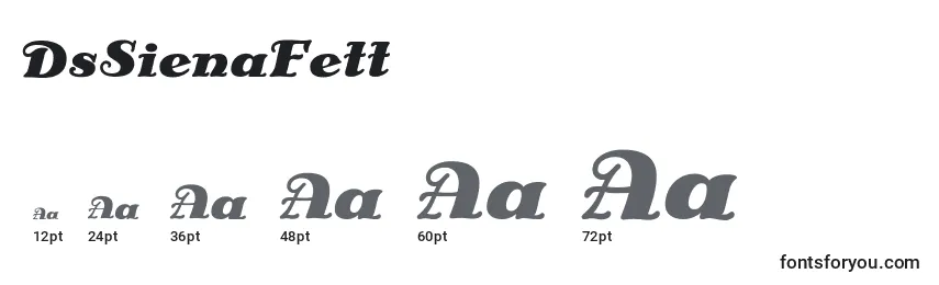 Размеры шрифта DsSienaFett