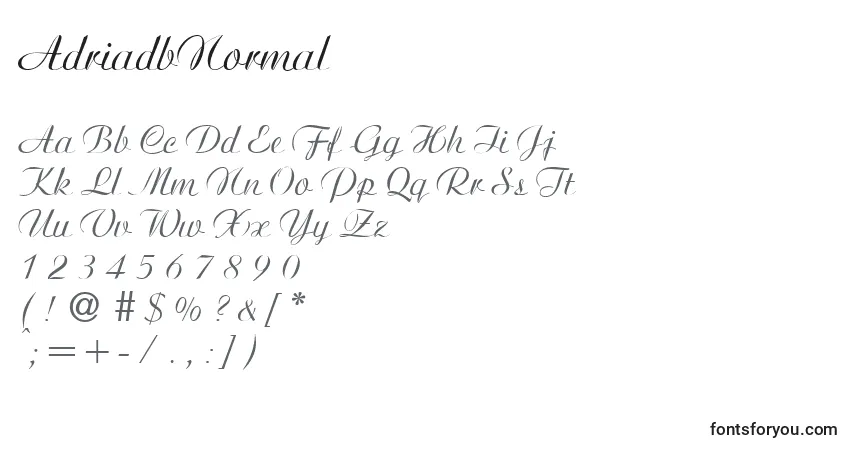 Czcionka AdriadbNormal – alfabet, cyfry, specjalne znaki