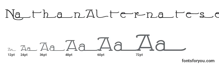 Размеры шрифта NathanAlternatese
