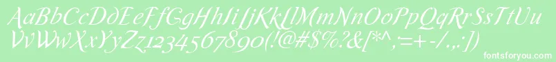 RomandeadfscriptstdItalic Font – White Fonts on Green Background