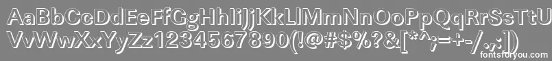 フォントLinearshBold – 灰色の背景に白い文字