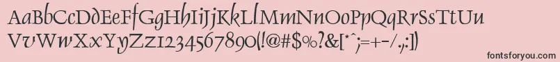 DolphinNormal Font – Black Fonts on Pink Background