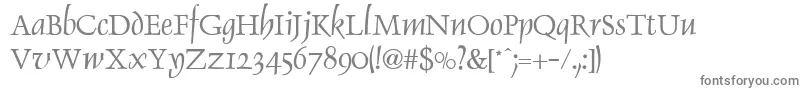 DolphinNormal-fontti – harmaat kirjasimet valkoisella taustalla