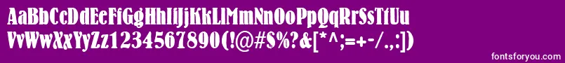 BernhardcondensedRegularDb Font – White Fonts on Purple Background