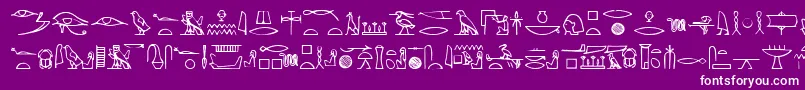 Yiroglyphics Font – White Fonts on Purple Background