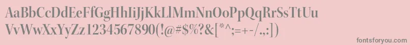 KeplerstdSemiboldscndisp Font – Gray Fonts on Pink Background