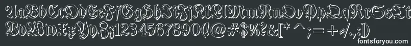 Шрифт TypographerfrakturShadow – белые шрифты на чёрном фоне