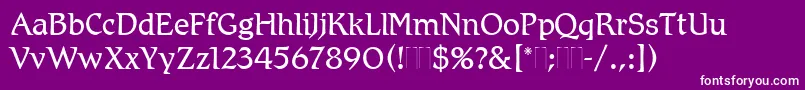 RomicLightPlain Font – White Fonts on Purple Background