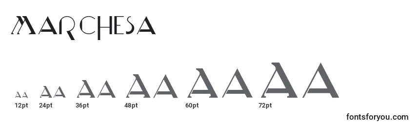 Размеры шрифта Marchesa