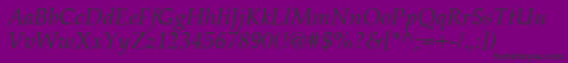 PalatinoCeItalic Font – Black Fonts on Purple Background