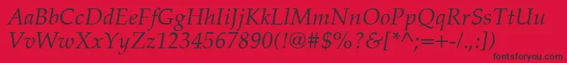 PalatinoCeItalic Font – Black Fonts on Red Background