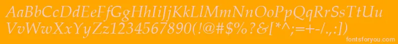 PalatinoCeItalic Font – Pink Fonts on Orange Background