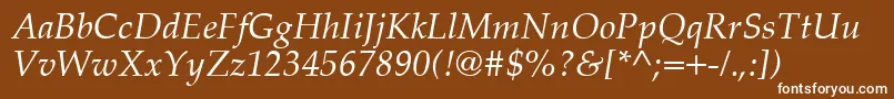 PalatinoCeItalic Font – White Fonts on Brown Background
