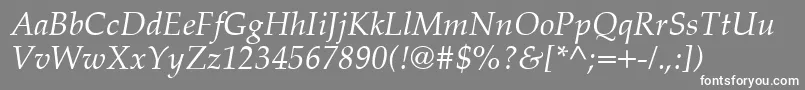 PalatinoCeItalic Font – White Fonts on Gray Background